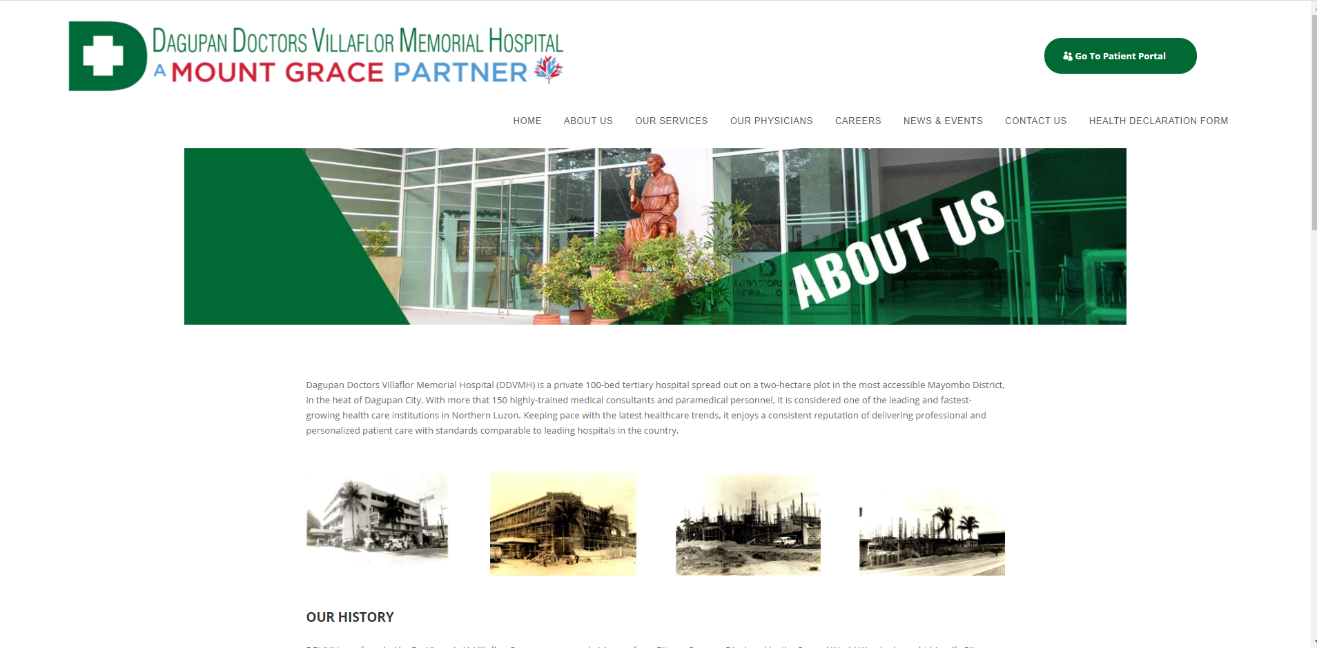 DDVMH Website screenshot 1